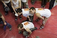 Click here to see a larger image