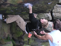 Click here to see a larger image