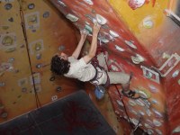 Click here to see a larger image