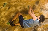 Click here to see a larger image