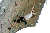 Click here to see a larger image