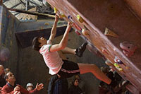 Click here to see a larger image