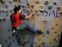 Click here to see a larger image