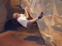 Click here to see a larger image