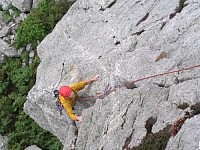 Click here to see a larger image