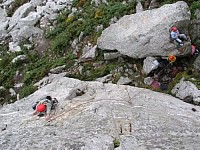 Click here to see a larger image