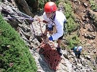 Click here to see a larger image