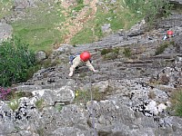 Click here to see a larger image