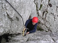 Click here to see a larger image