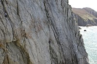 Click here to see a larger image