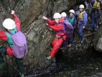 Click here to see a larger image