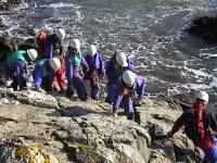 Click here to see a larger image