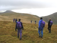 Click here to see a larger image