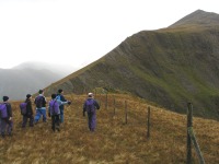 Click here to see a larger image