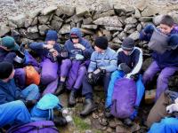 Click here to see a larger image