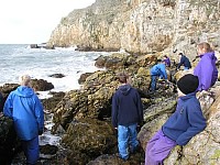 Click here to see a larger image