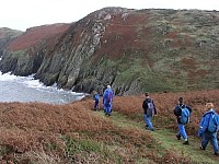 Click here to see a larger image