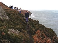 Click here to see a larger image