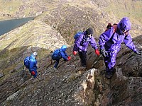 Click here to see a larger image