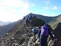 Click here to see a larger image