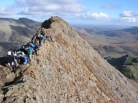 Click here to see a larger image