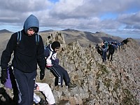 Click here to see a larger image