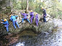 Click here to see a larger image