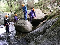 Click here to see a larger image