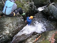 Click here to see a larger image