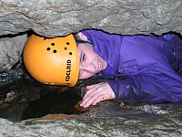 Click here to see a larger image