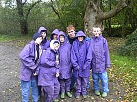 Click here to see a larger image