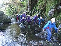 Click here to see a larger image