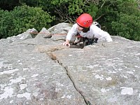 Click here to see a larger image