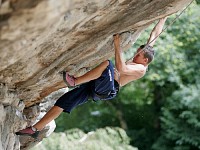 Click here to see a larger image