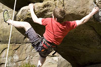 Click here to see a larger image