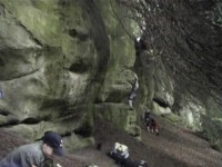 Click here to see a larger image