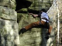 Click here to see a larger image