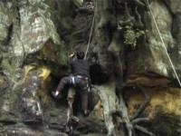 Click here to see a larger image