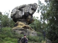 Click here to see a larger image