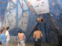 Click here to see a larger image