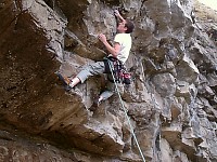 Click here to see a larger image